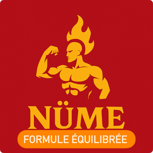 🟨 Formule ÉQUILIBRÉ